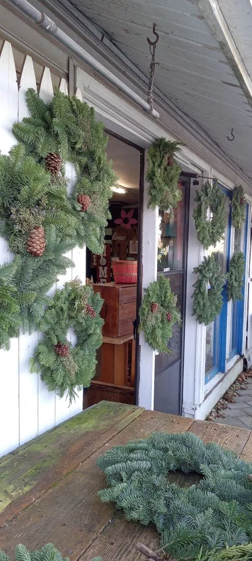 Love this local plant store! Great variety with high quality plants and flowers. Yummy seasonal produce and Ugly Pie sweets