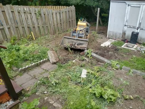 Jonathan was able to come in and remove multiple tree stumps that another tree company cut down and left due to not being