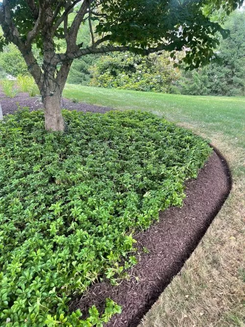 Attention to detail is the mark of true professionals and Mulch Masters achieves that standard