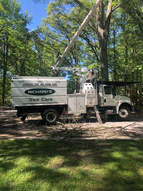  alt='Richard’s tree care has been our sole provider of tree services since his crew removed a large tree that fell on our house'