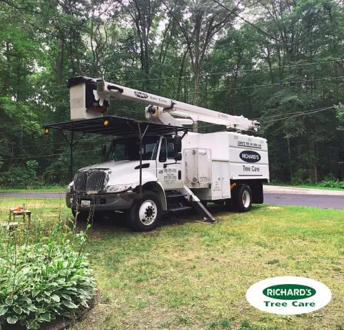 I recently hired Richard"s Tree Care to remove some trees I didn"t want in my yard and deal with 2 huge, old maples that