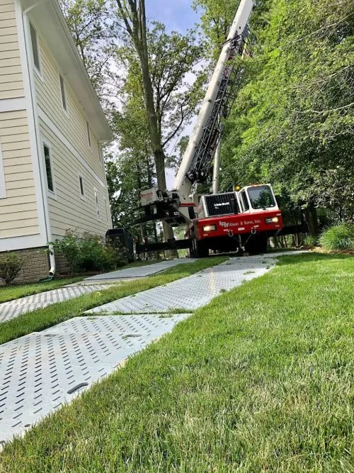 Richard’s tree care has been our sole provider of tree services since his crew removed a large tree that fell on our house