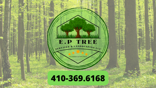  alt='I have had one of my best experiences with EP Tree Services LLC'