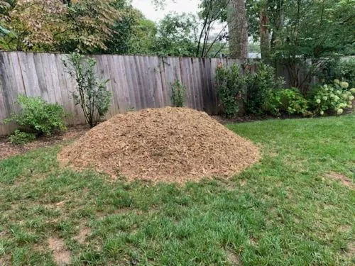 Avalos Landscaping was referred by my next door neighbor. Pedro was professional in his estimate for tree removal (rotting