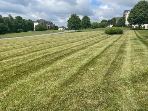  alt='I had just moved in to a property with about an acre worth of lawn that was never cut'