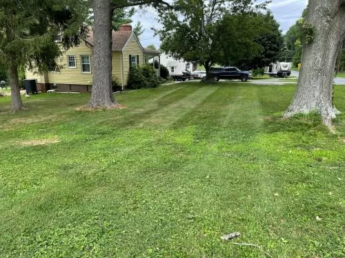 I had just moved in to a property with about an acre worth of lawn that was never cut