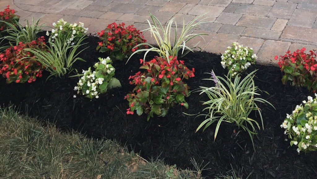 Mr. Kwasi and his team did an outstanding job cleaning up my garden, replanting bushes and setting up a raised bed for my