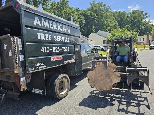  alt='These guys were GREAT!! They came at the time they setup and had the downed tree, stump and debris completely removed'