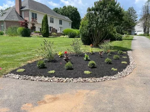 I was first introduced to HMD Landscaping this Spring when my previous landscaping person retired