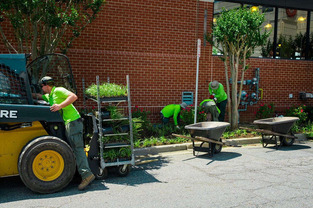 Level Green Landscaping contunues to do an excellent job on my property