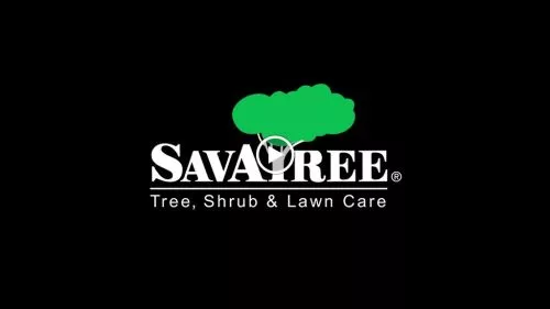 On the recommendation of a friend who has used SavATree for several years, we set up an appointment