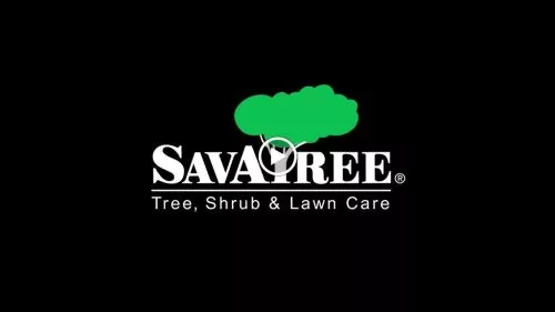 SavATree was easy and straight forward to work with. Sara came out to talk to me about upkeep on some large hedges