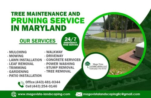 We have used Mago Vista Landscaping for the past 5 years. The work and attention to detail is outstanding