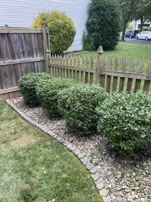 We had a tree that was damaged during a storm. Brad Gurda did a great job taking down the tree