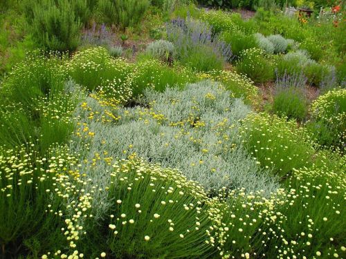  alt='My wife and I have been using Good Earth Gardeners for several years and in that time they have totally transformed our'