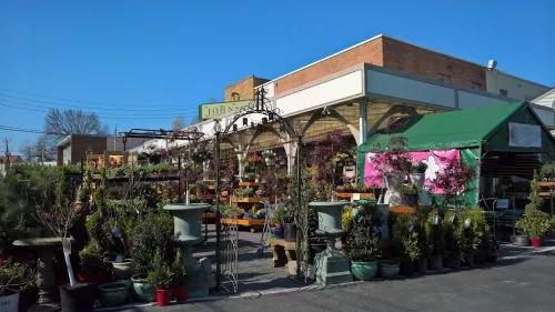 A top notch florist with fantastic service. This florist also sells live plants, dirt, mulch, and fancy ceramic pots