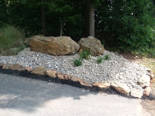  alt='I had a (deeply rooted) crepe myrtle bush removed along with a Hosta. Chuck and his assistant arrived promptly'