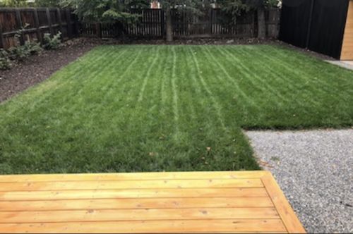  alt='Above and beyond!! I highly recommend Charm City lawn services. They did such a beautiful job cutting and edging the lawn,'