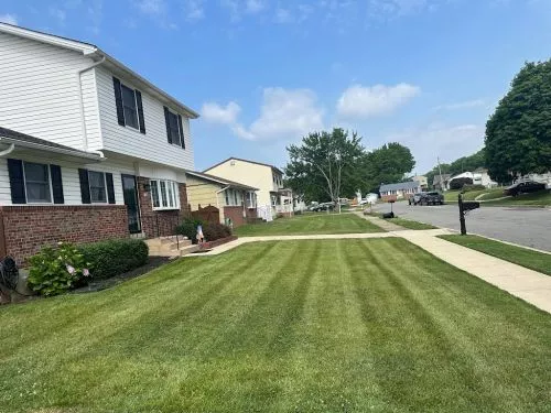 Chris and his team at Charm City Lawn services are superb! We engaged them in May to provide twice a month lawn services