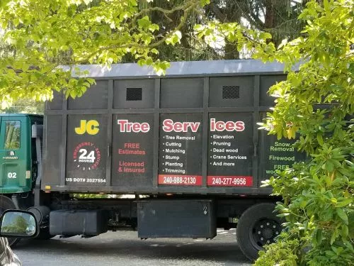 JC Tree Services is amazing! Juan is professional and his team was phenomenal