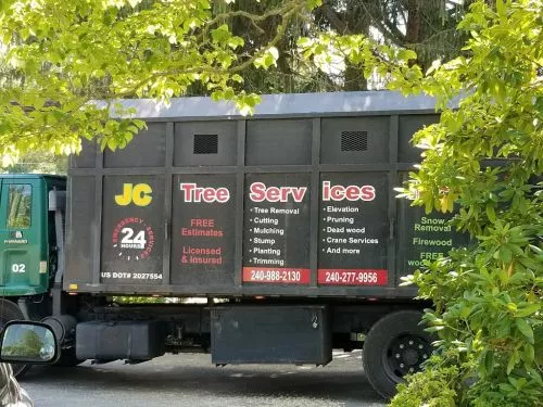 JC tree service has done good work for us two times! We had them trim and remove trees as well as remove other plants and