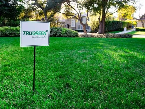 I am always satisfied with the service I receive from TruGreen and specialist Osvaldo