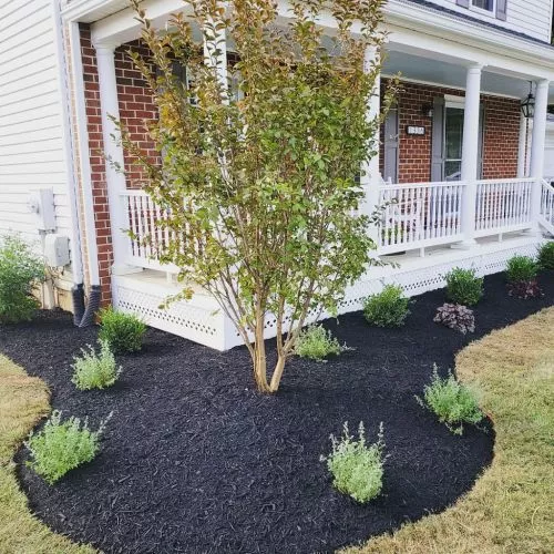 Eric and his team did such a great job updating our front landscaping