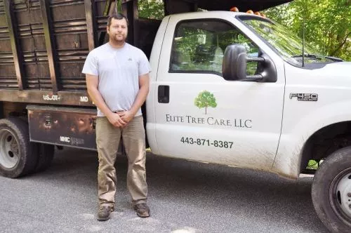 I have used Mike and Elite Tree Care on three projects now, taking down over 25 trees