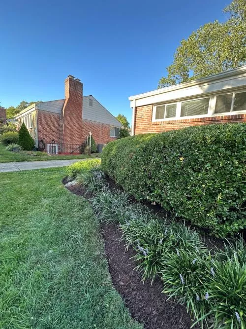 I was looking for someone to help us cut the grass in our front and backyard and pull the tree branch that was hanging near