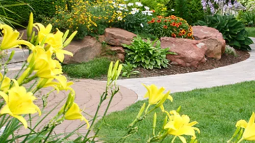 American Landscaping completed a front walkway, removal of old shrubs and replaced with new ones, and completed a rear