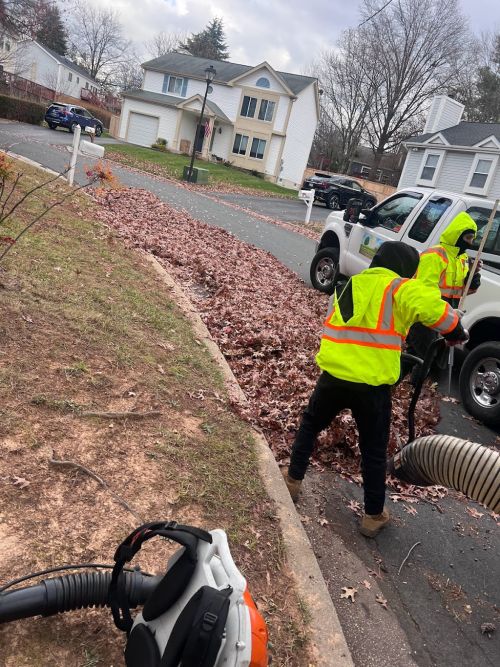  alt='I had a great experience with Jose and his team! They laid sod in my backyard and were very detailed and made sure it was'