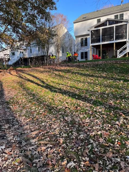 We had a huge maple tree removed (a different company) and what was left was a disaster