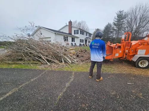 Elmer and his crew at E. P. R. did an AMAZING job removing 2 huge pine trees in our yard